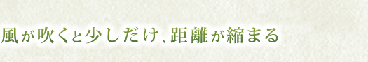 風が吹くと少しだけ、距離が縮まる