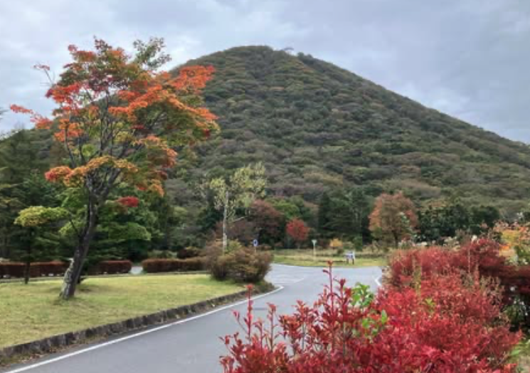 【紅葉情報】10/22