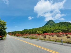 【榛名湖周辺のツツジ・開花状況】